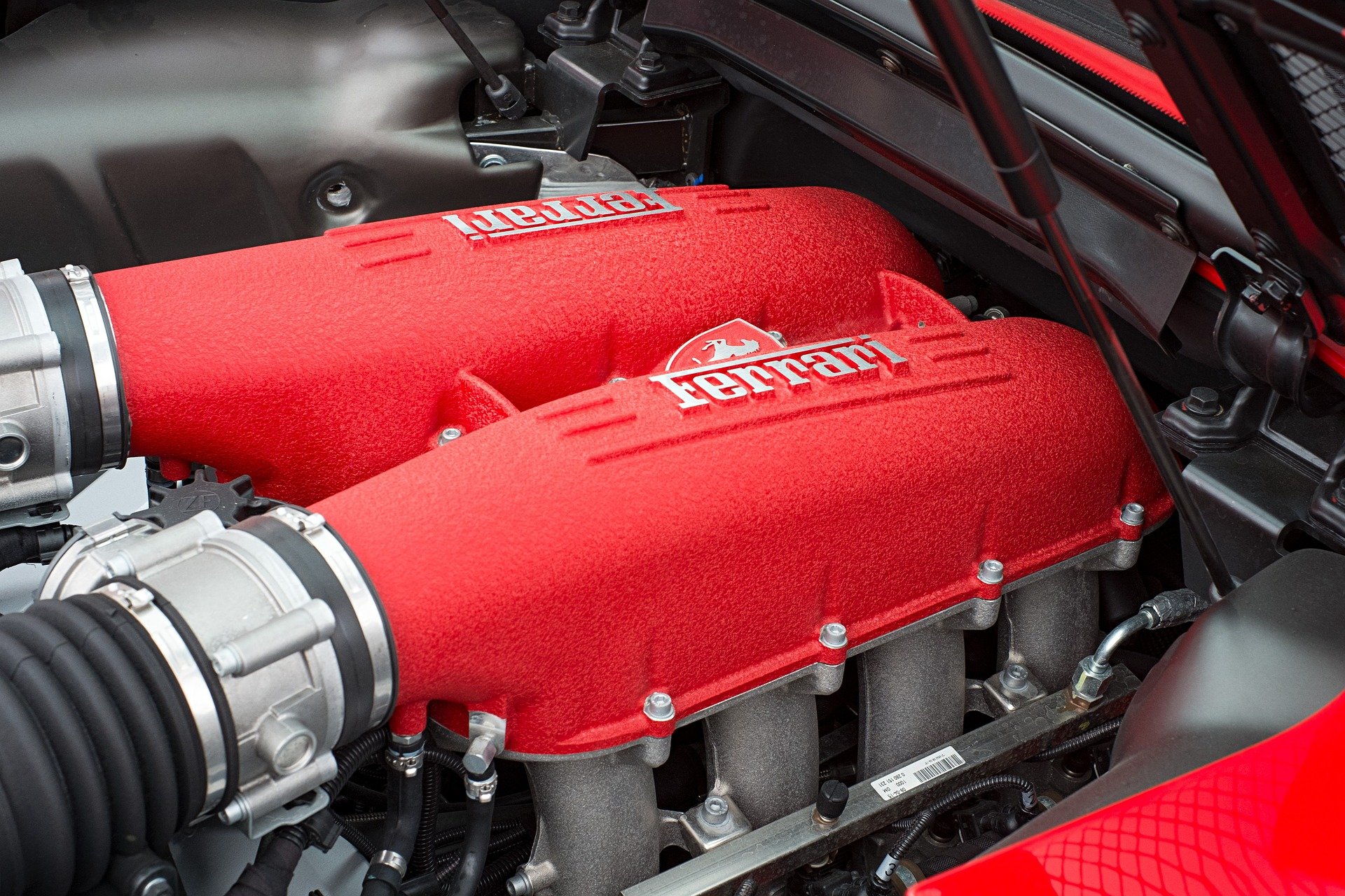 Ferrari V12 engine.