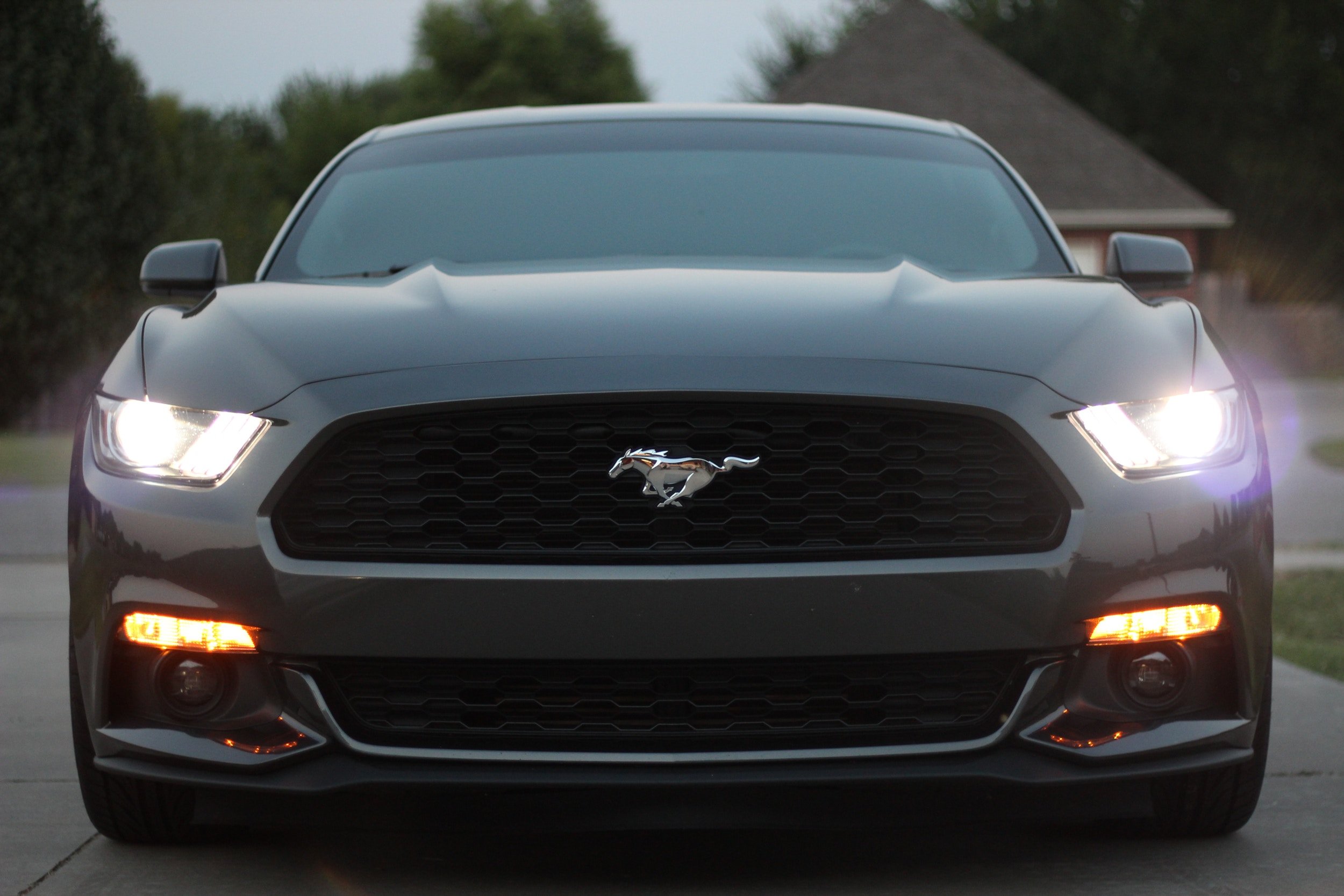 Ford Mustang performance.