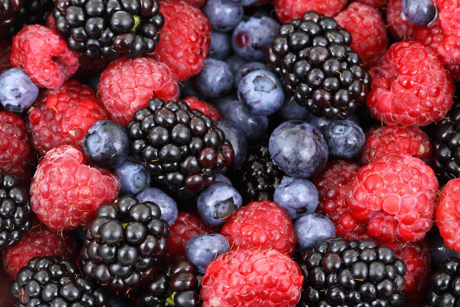 Berries for weight loss
