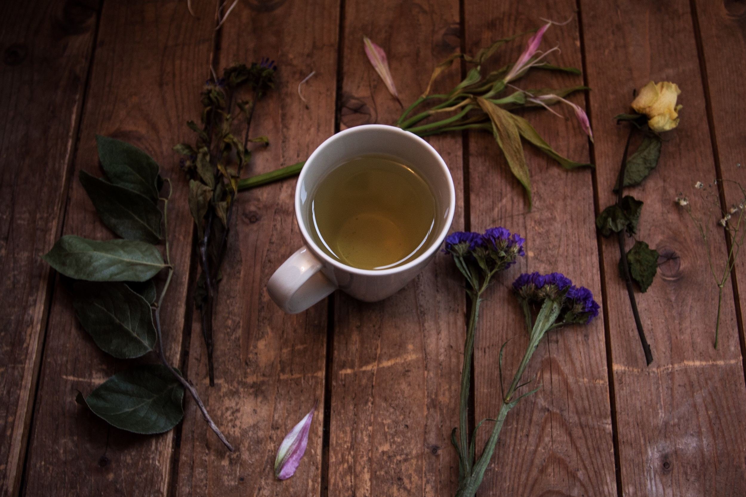 Dive into the World of Herbal Courses: Unlocking Nature's Healing Powers