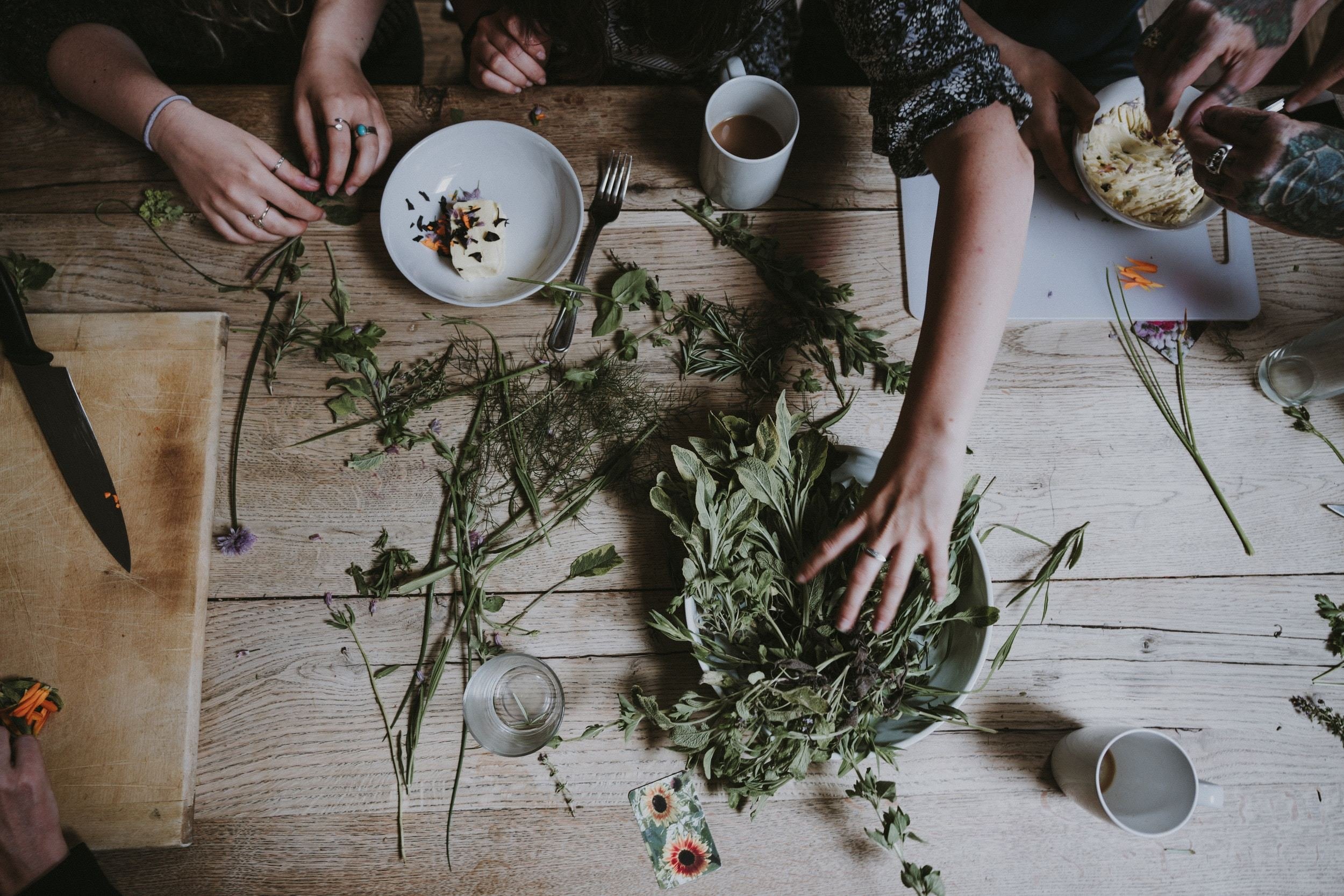 Understanding about Herbalism, its Scope and Career Opportunities
