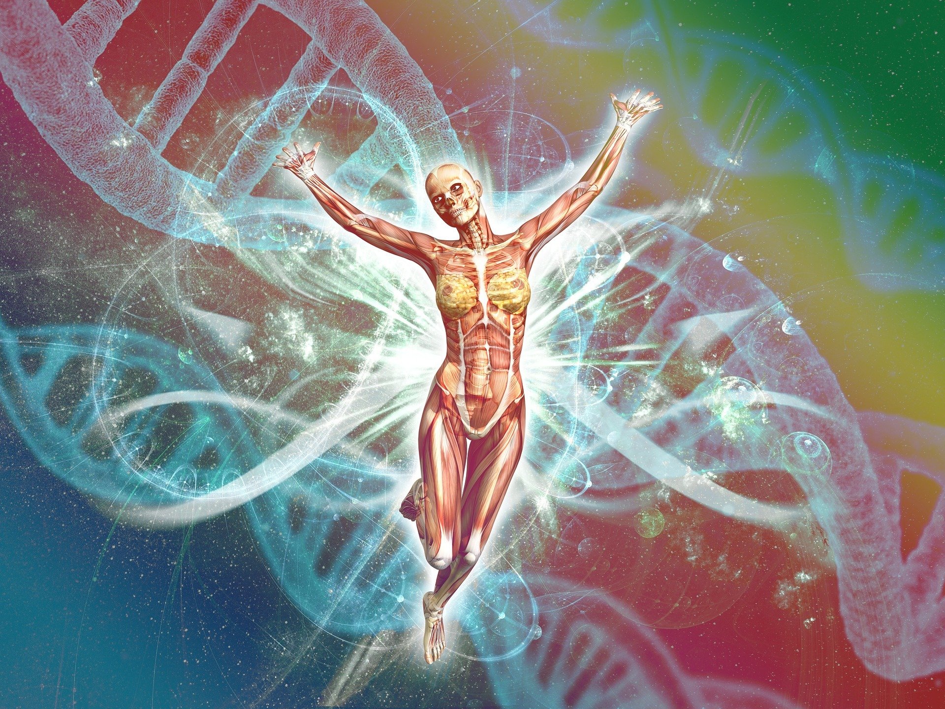 A generációkon át öröklődő DNS információk biztosítják a biológiai összefüggések folytonosságát.