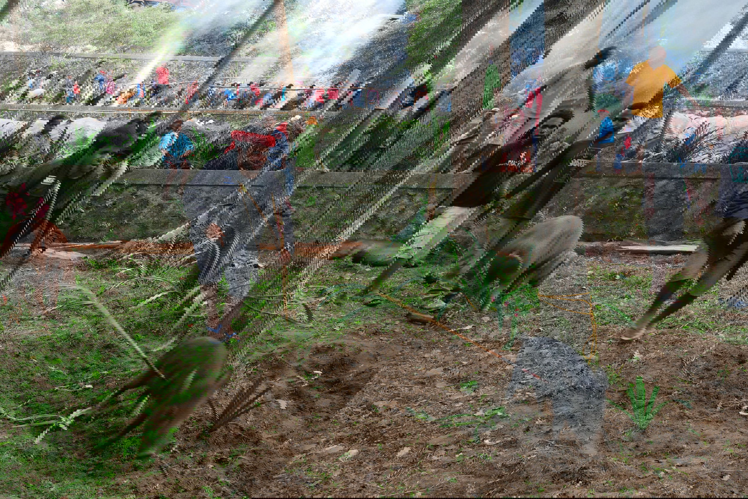 গিনি দর্শনীয় স্থান