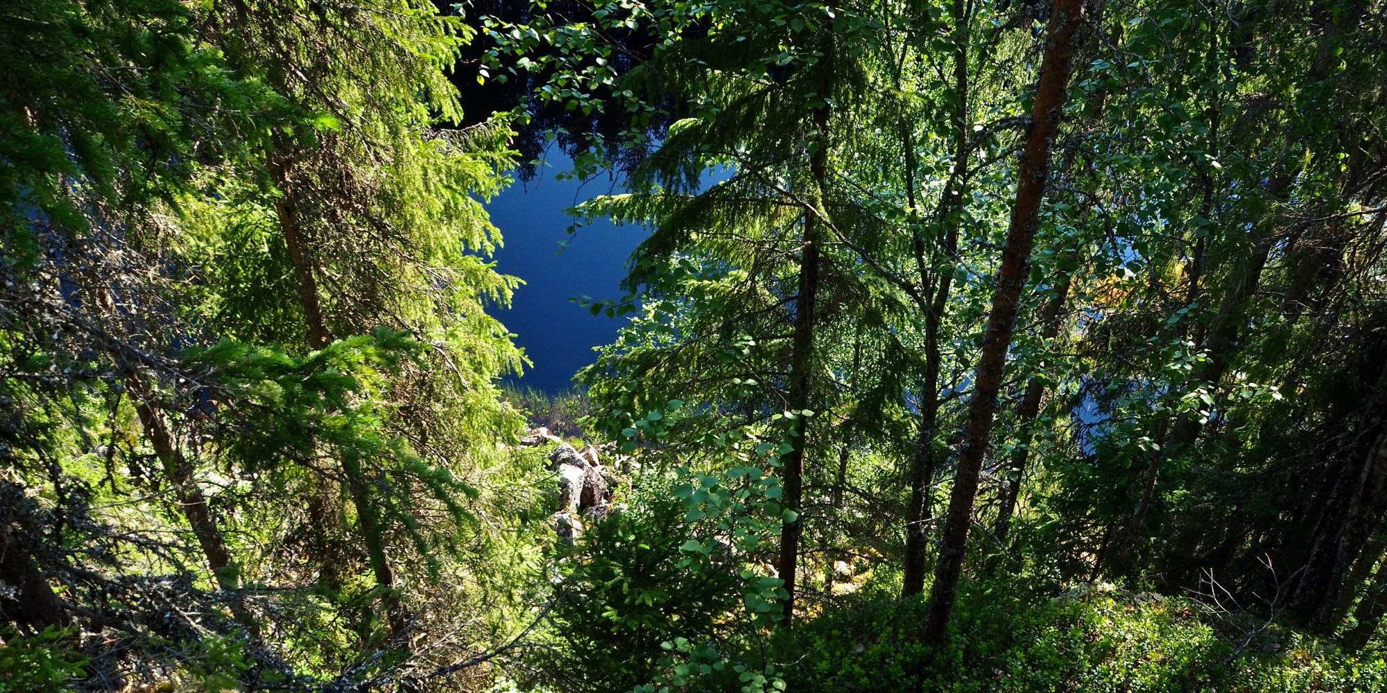 Korkean kallion päältä otetussa kuvassa näkyy vettä alhaalla puiden välissä. 
