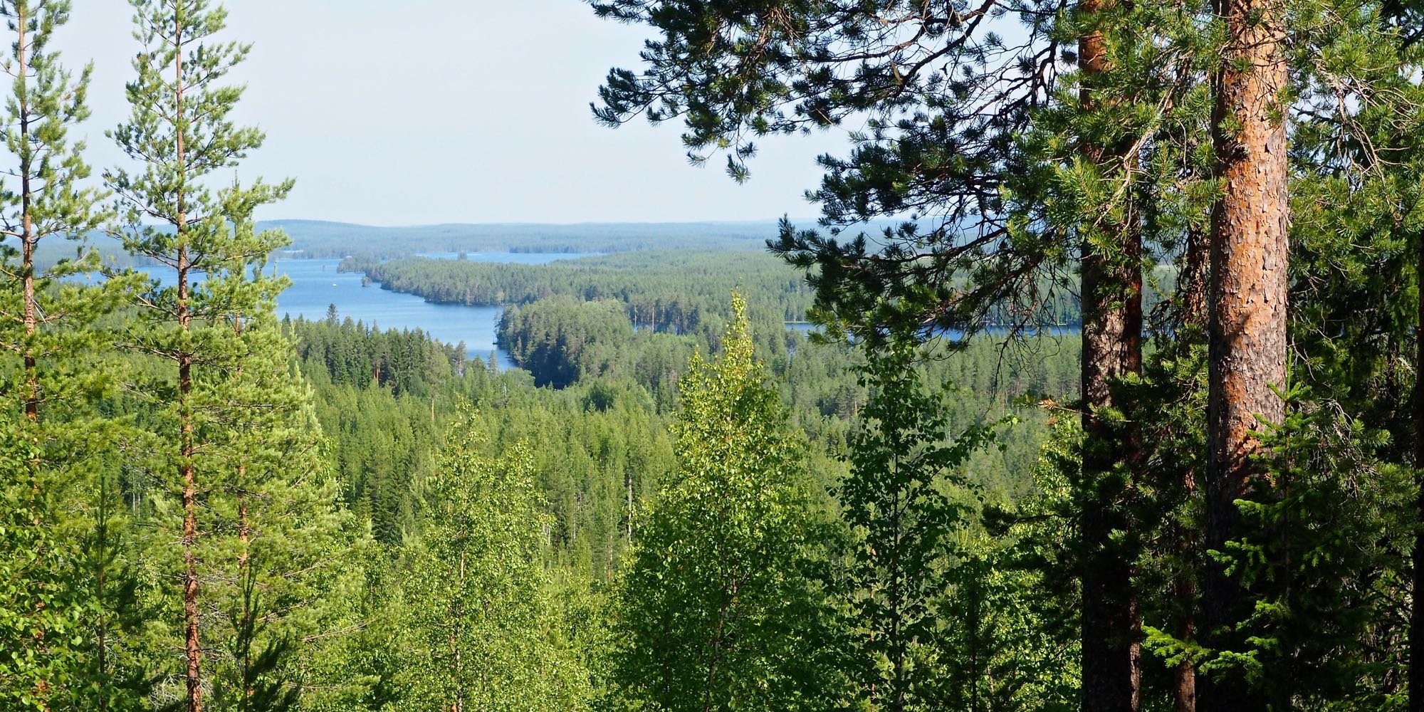 Kuva näköalapaikalta, puiden välistä siintää järven selkä ja saaria.
