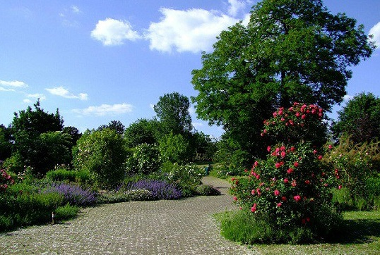 حديقة دوسلدورف النباتية من افضل اماكن السياحة في مدينة دوسلدورف