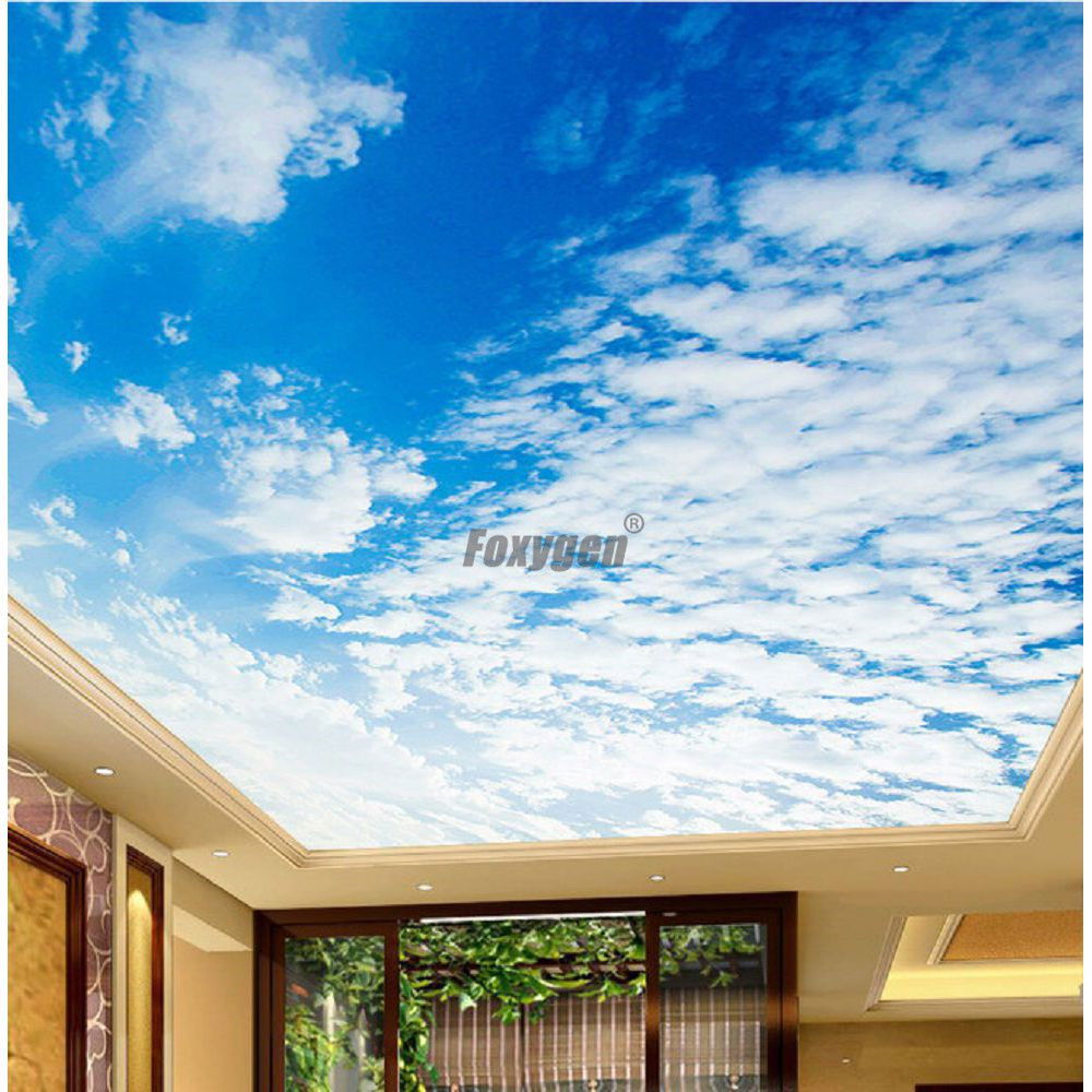 House Modern False Ceiling Blue Sky Clouds Sunshine Print 3D Transparent PVC Ceiling Design