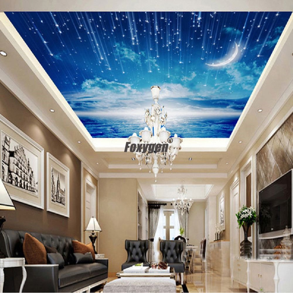 starry stretch ceiling film