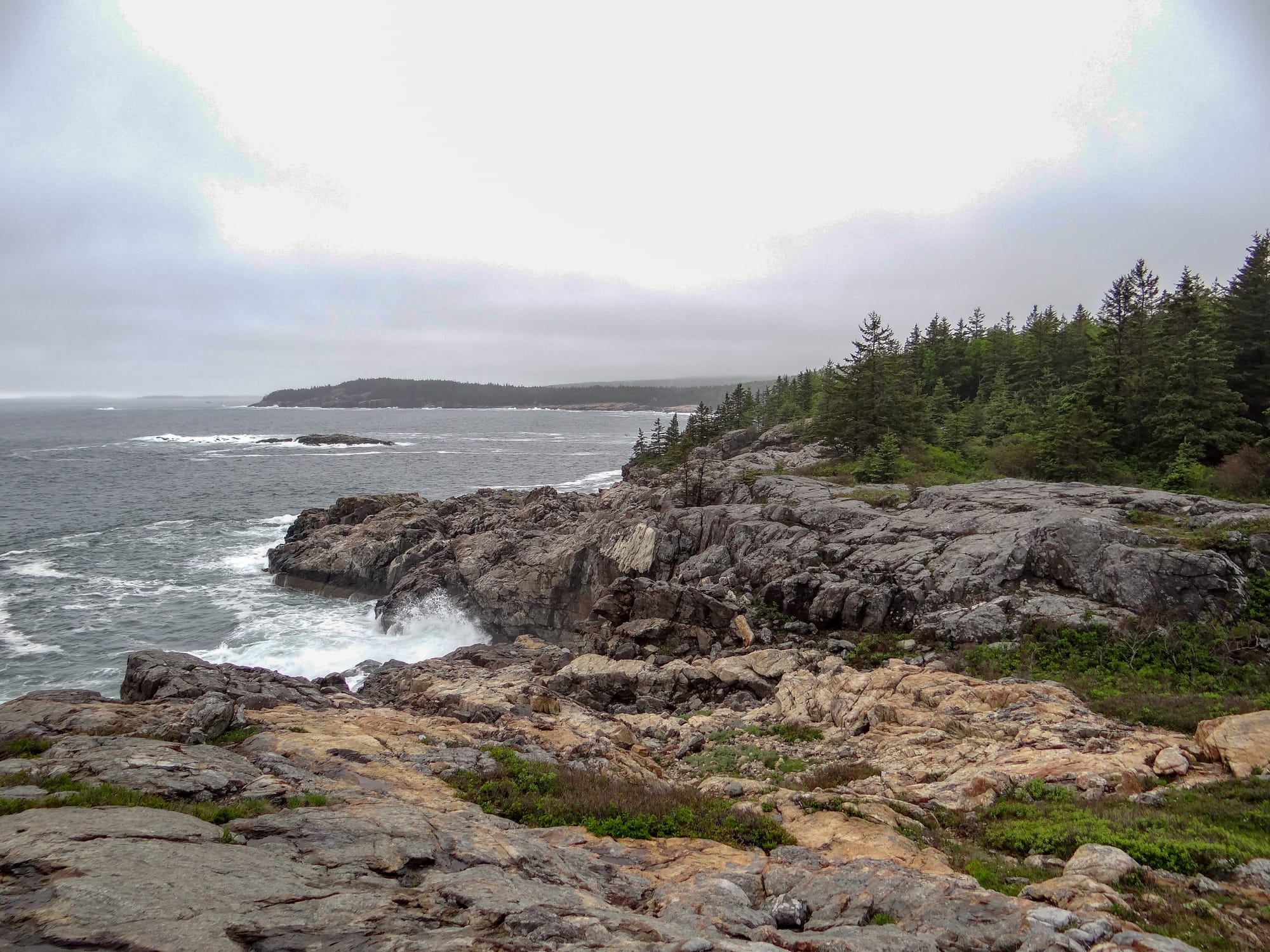 weather forecast bar harbor maine hourly