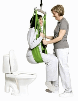 Image of a toileting sling