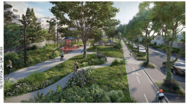 אדריכלית נוף