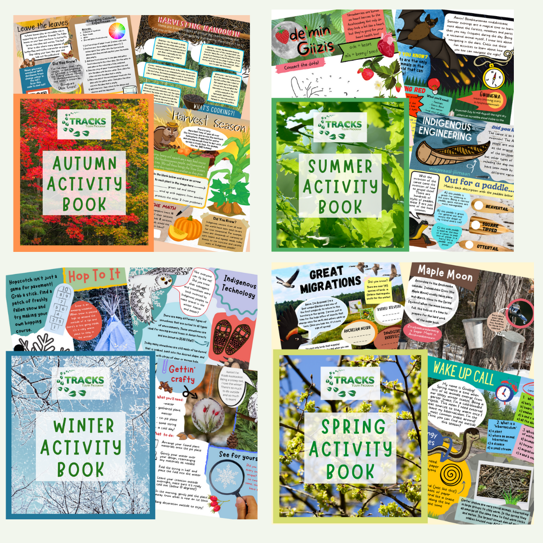 Seasonal Activity Book SETs - Order now for Seasonal Activity