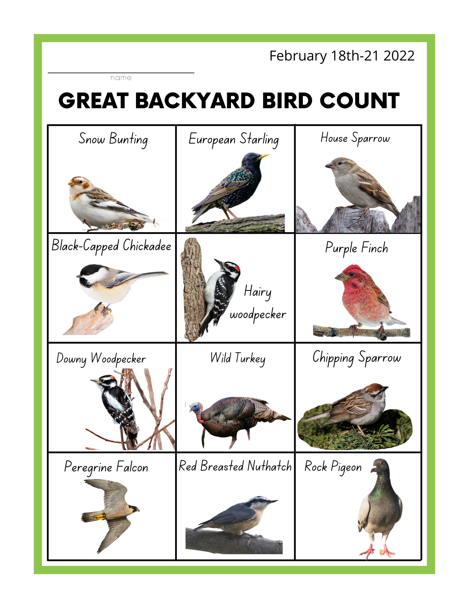 Great Backyard Bird Count TRACKS Youth Program