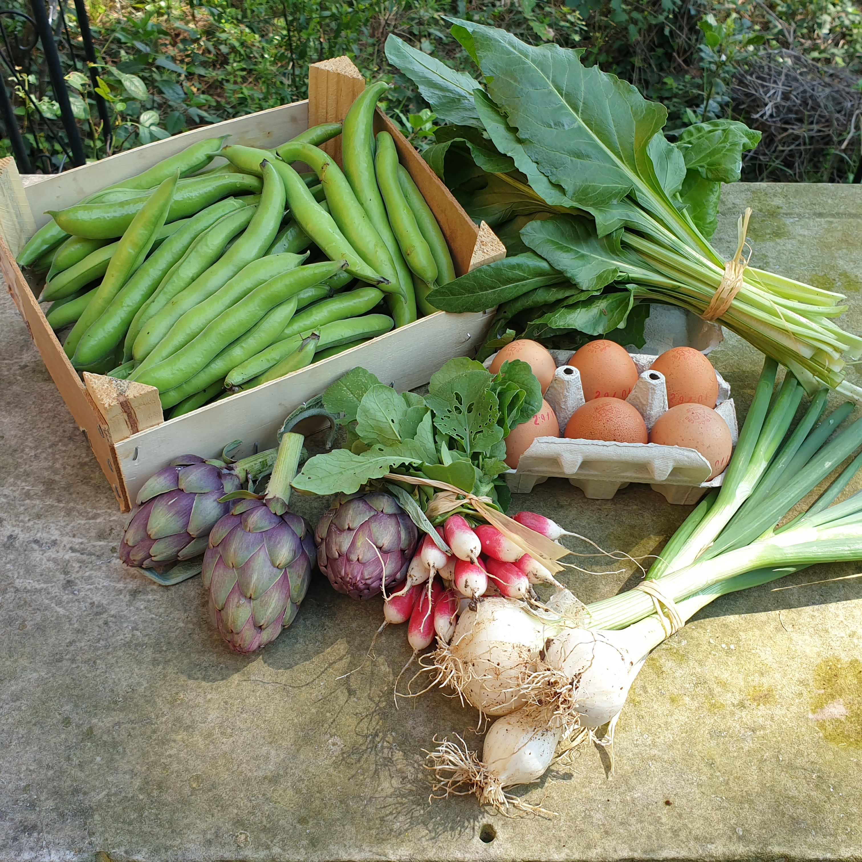 Basket of 04/30/2022 (2021 subscribers only)