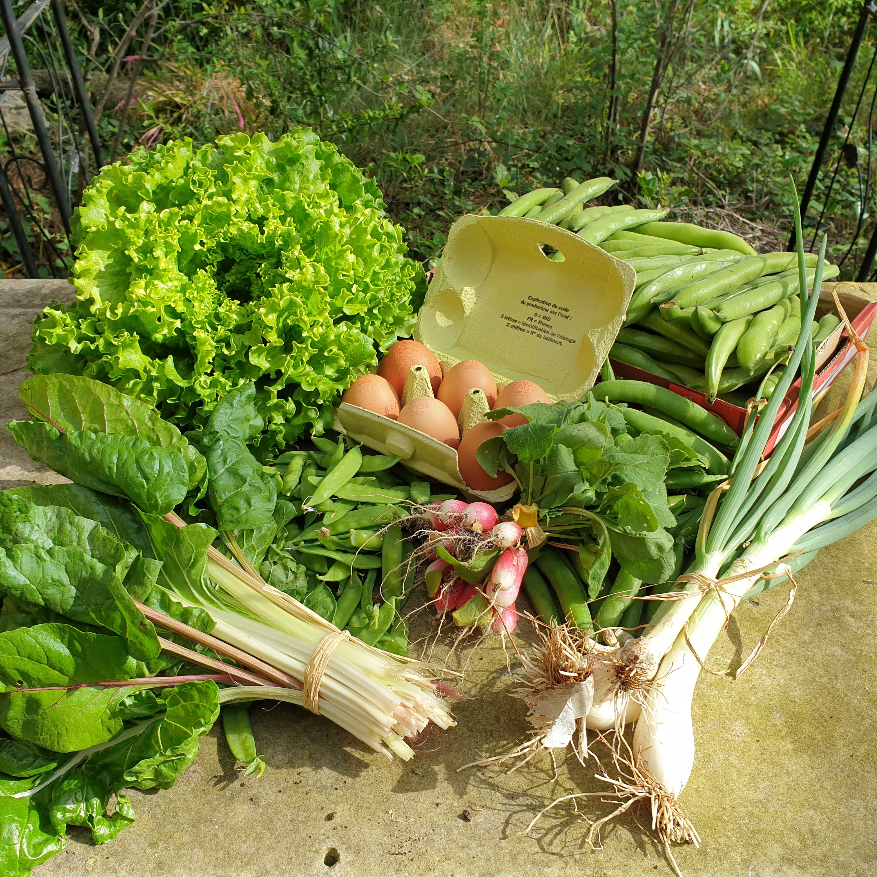 Basket of 07/05/2022 (2021 subscribers only)