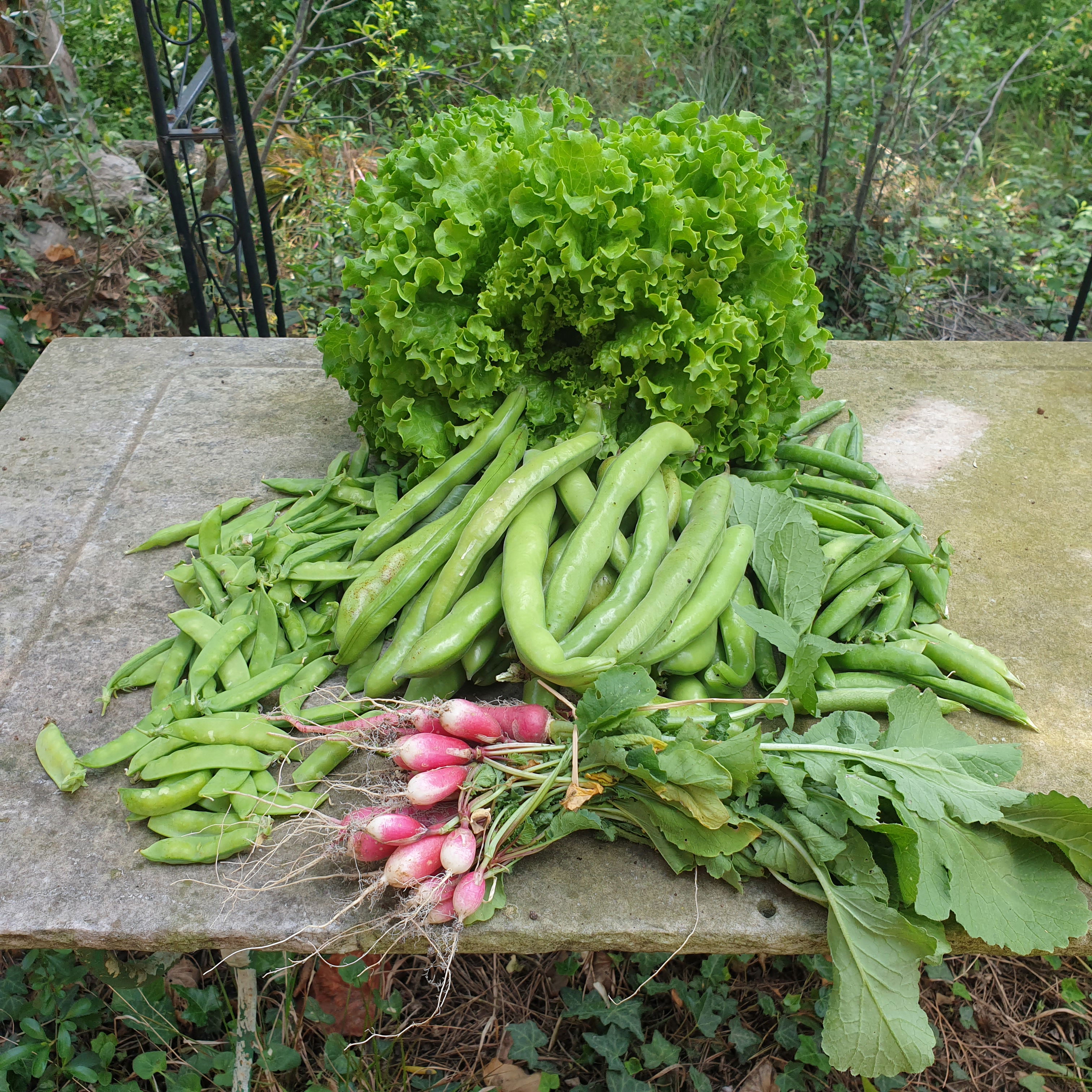 Basket of 05/14/2022 (2021 subscribers only)