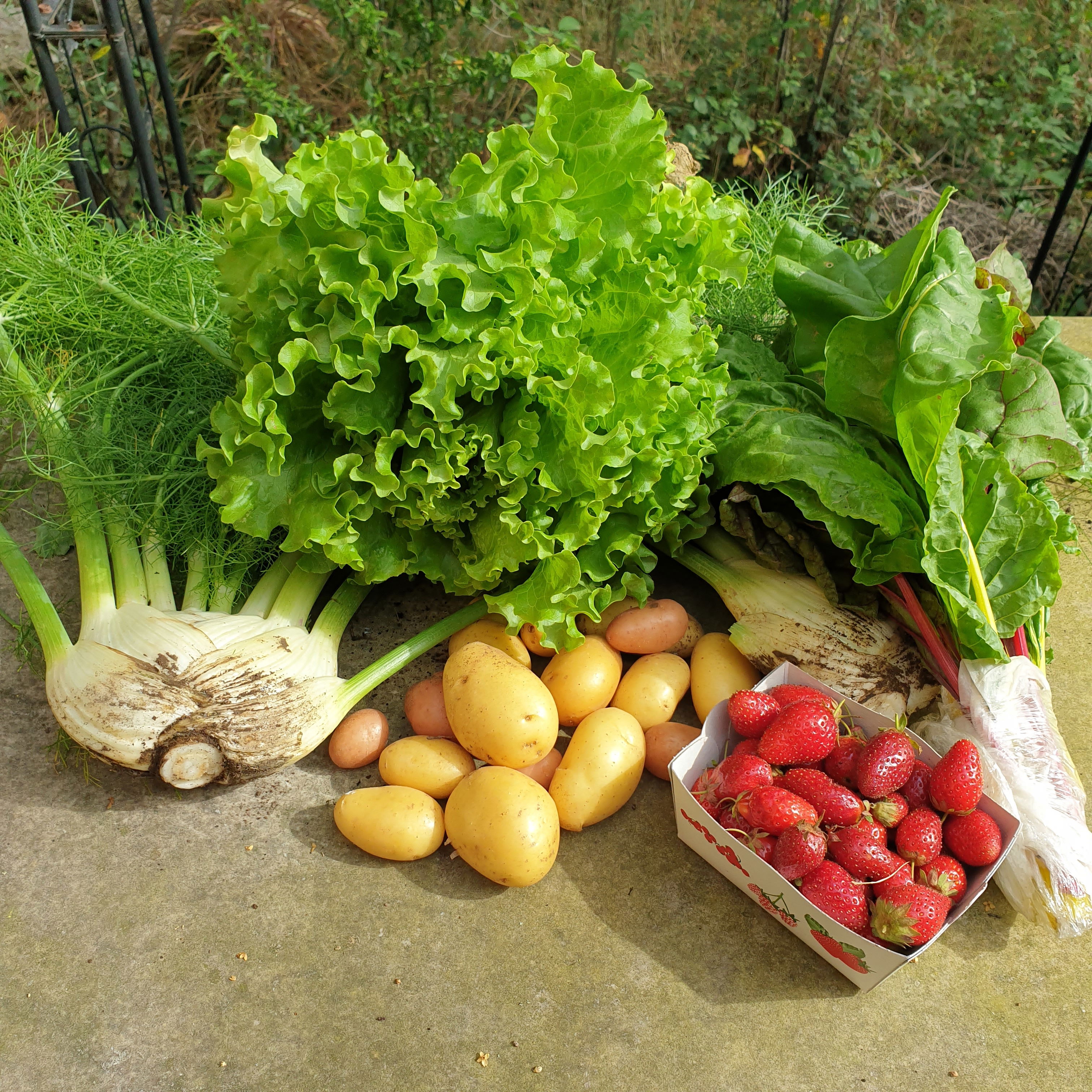 Basket of 04/06/2022