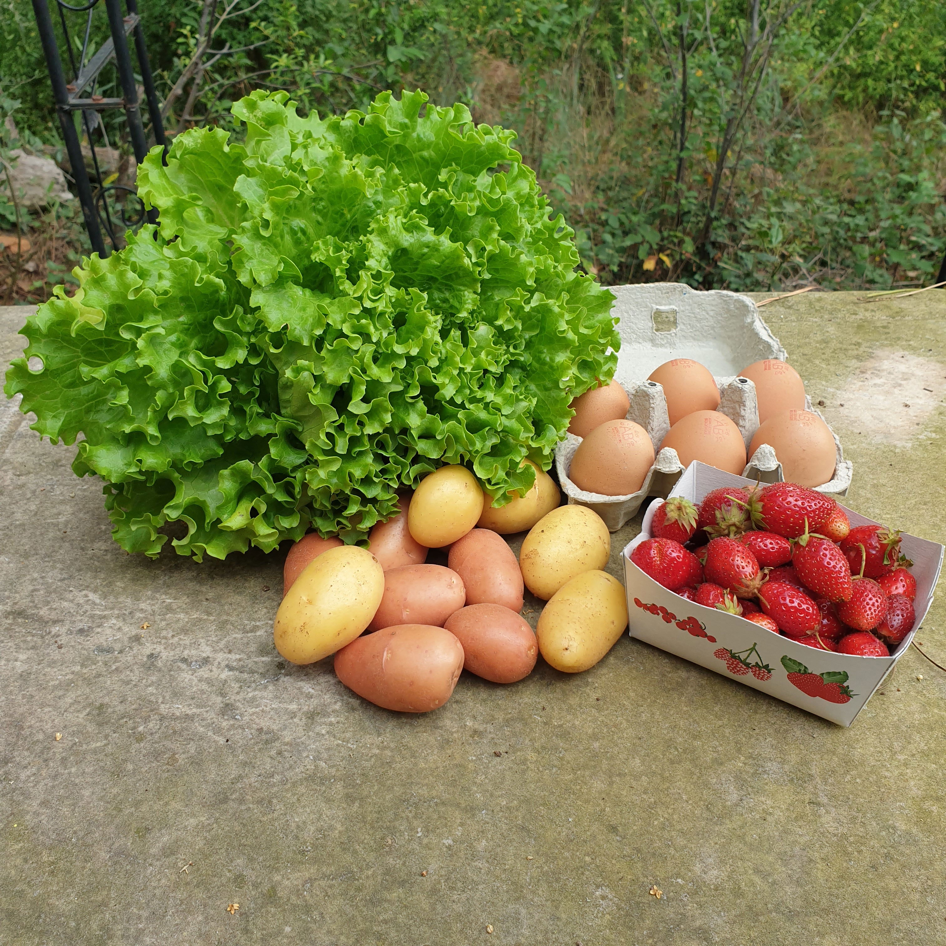 Celibacy basket of 05/28 (2021 subscribers)