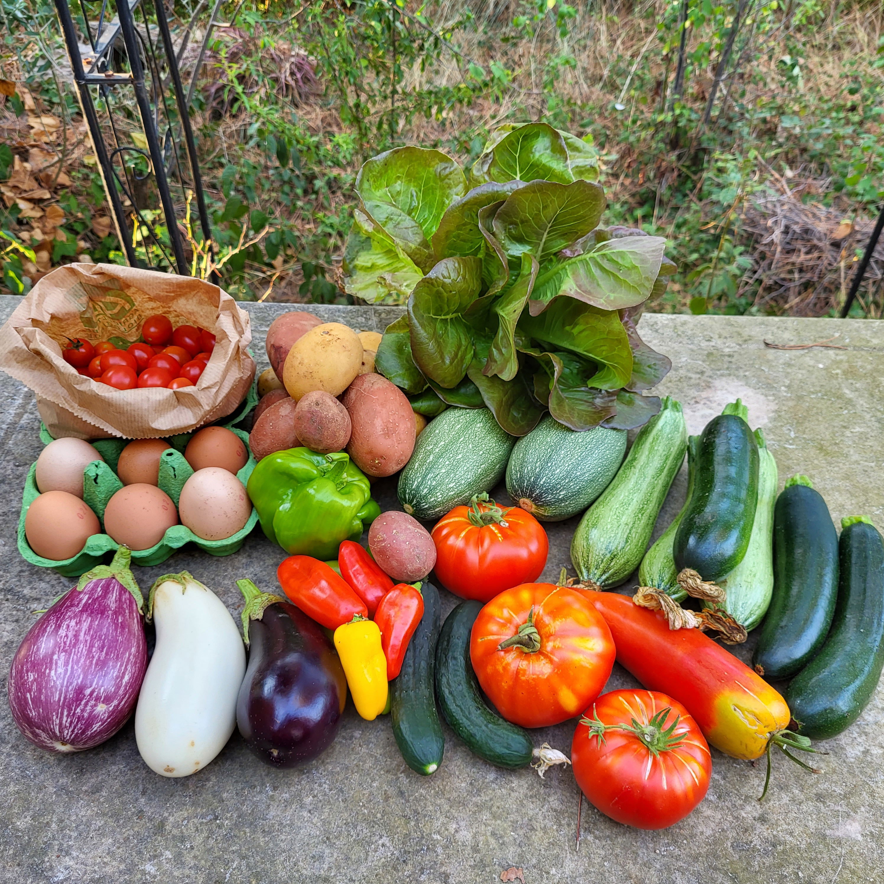 Basket of 03/07/2022