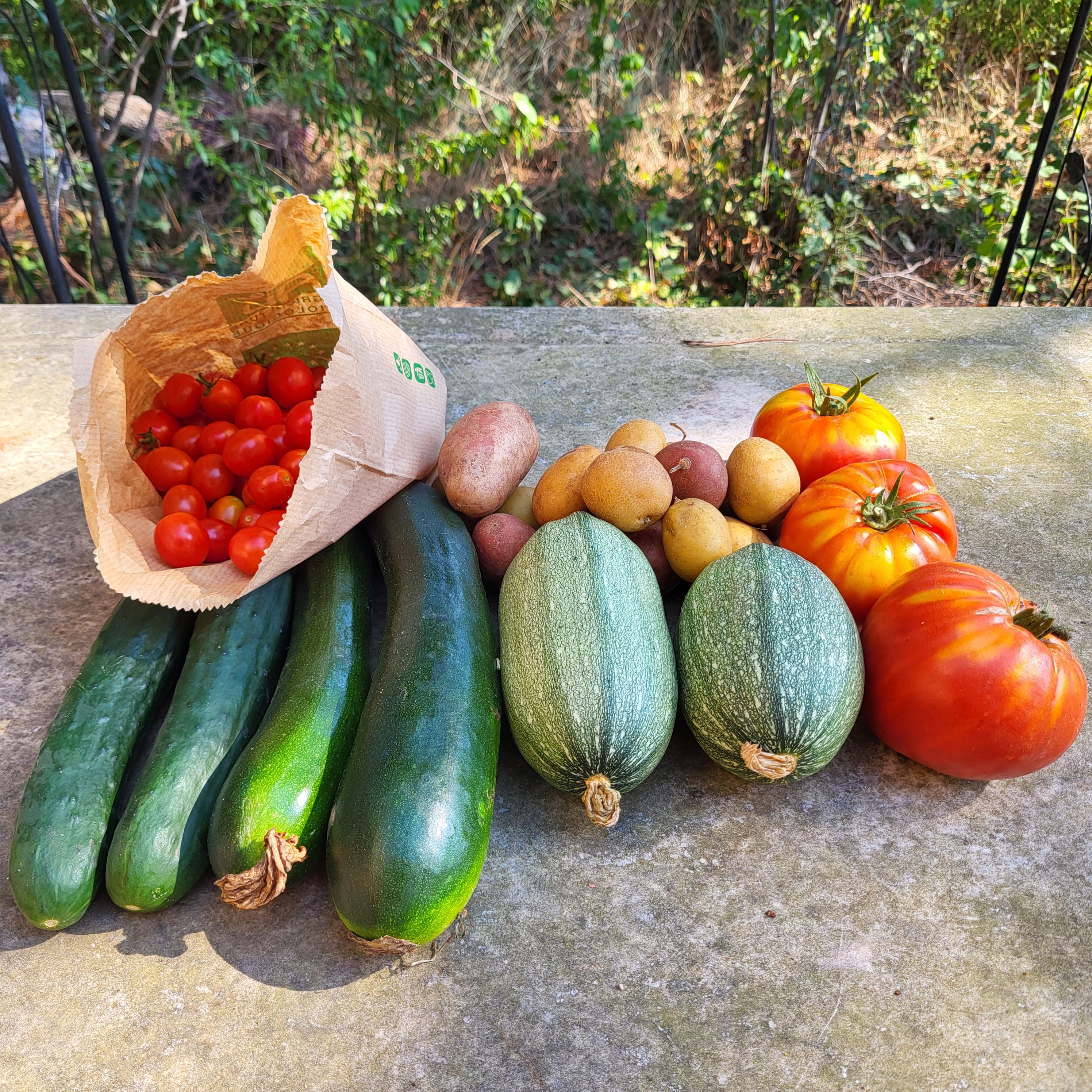 Basket of 06/08/2022