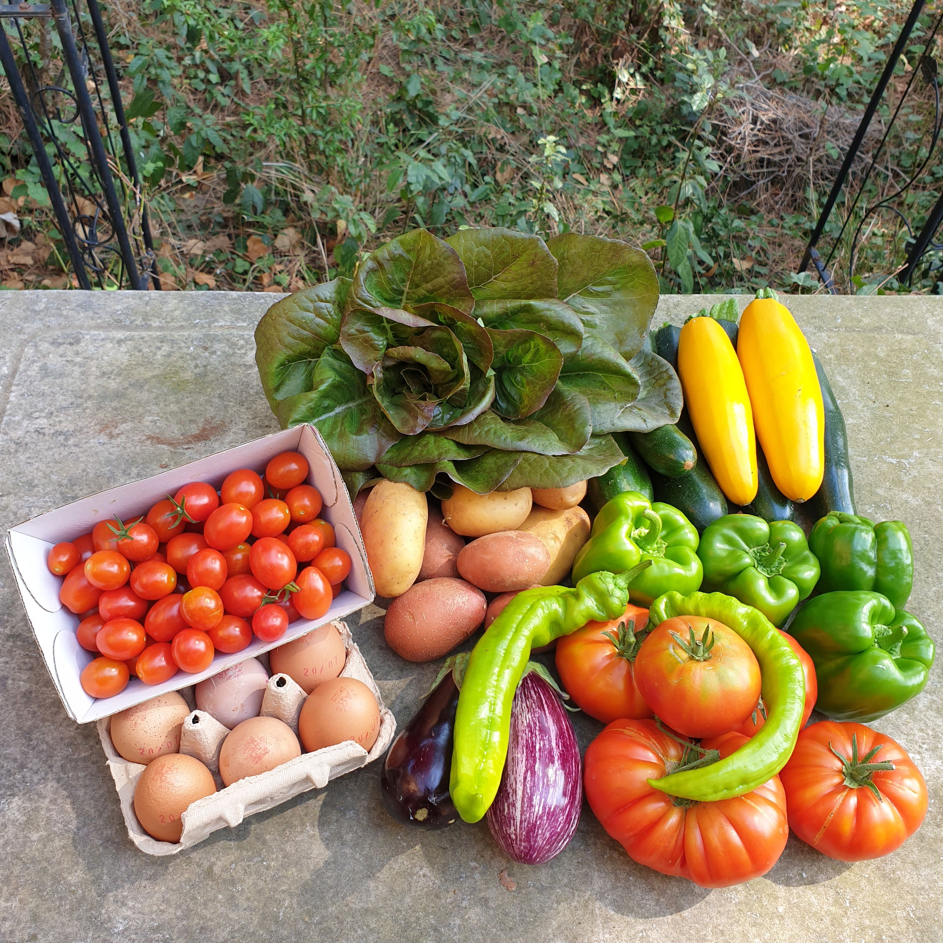 Small family basket (First subscribers 2022)