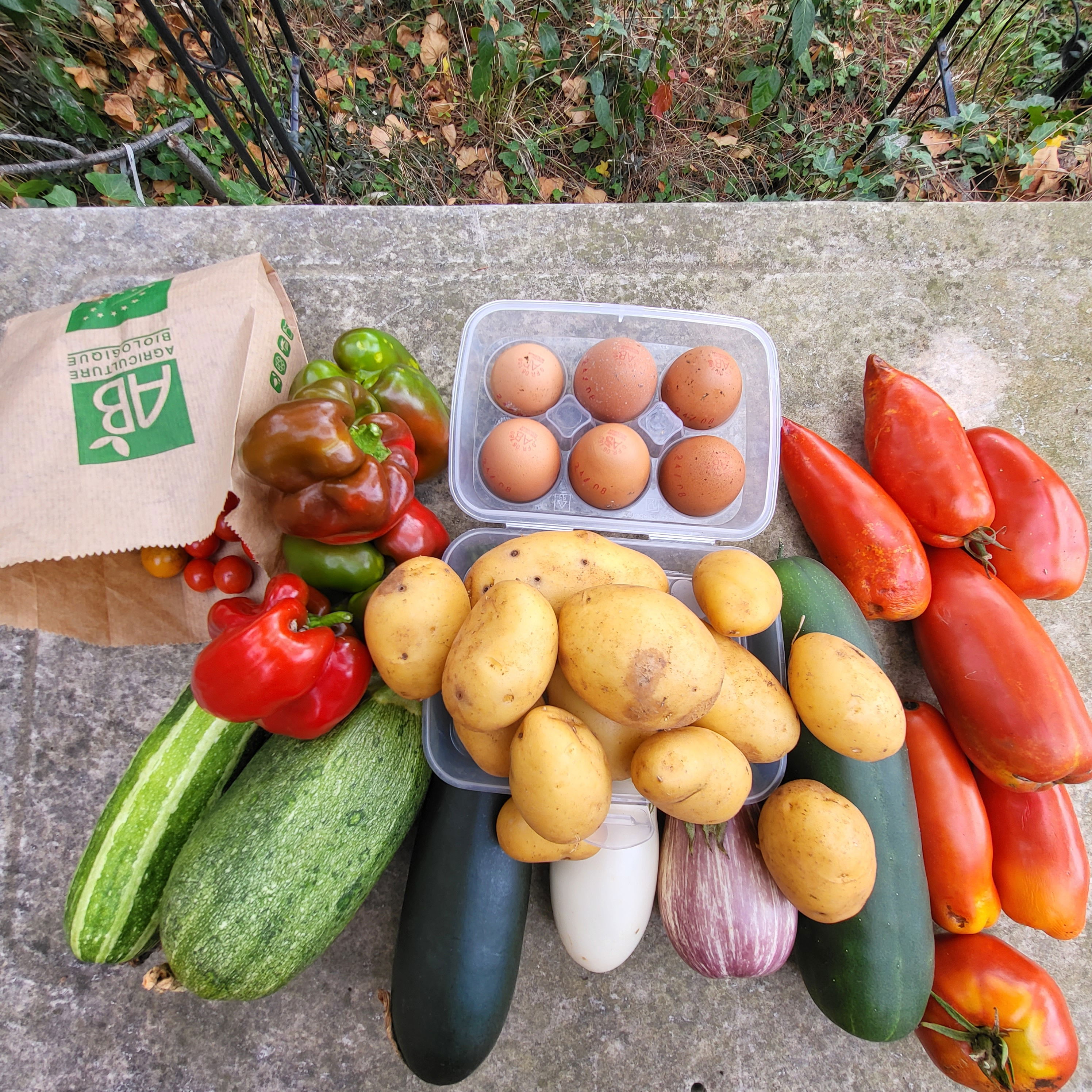 Basket of 08/27/2022