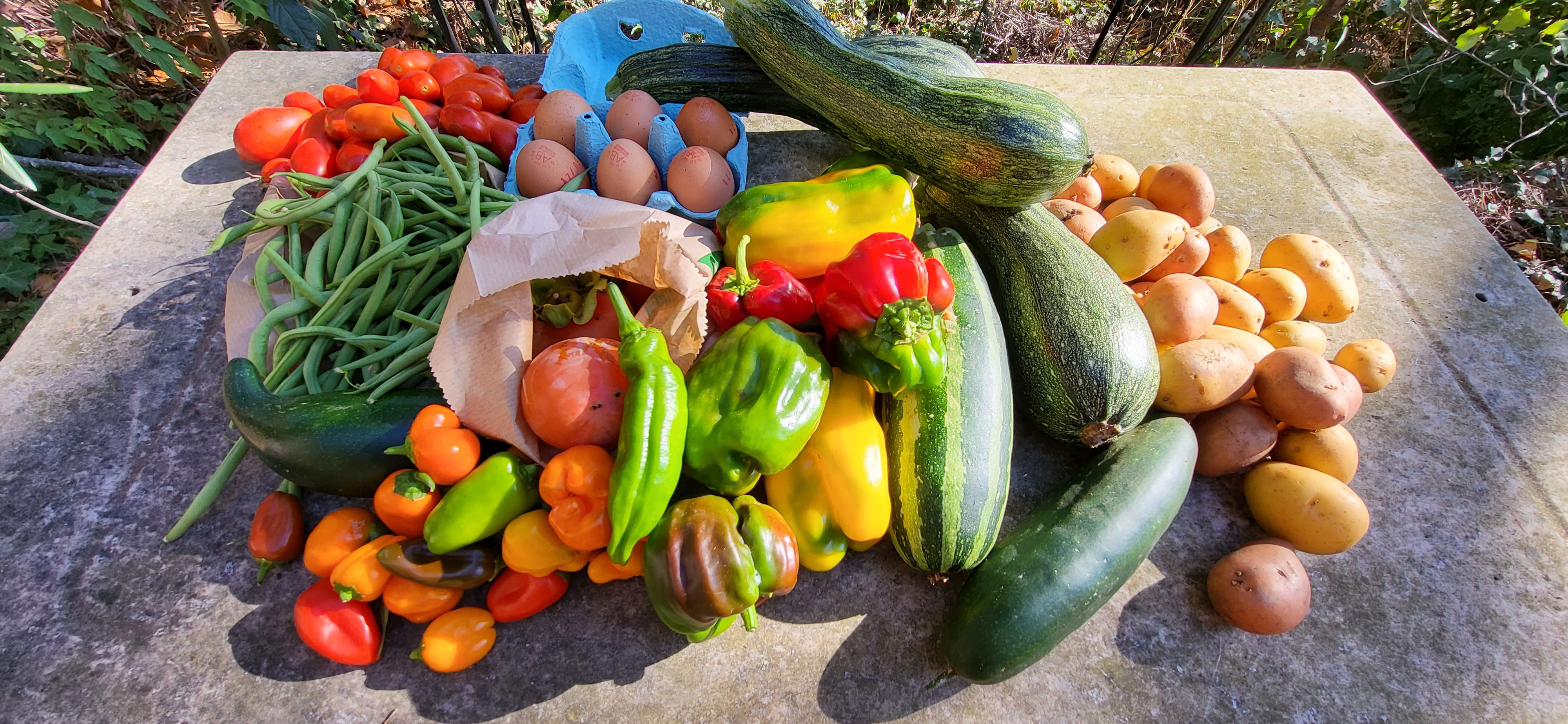 Basket of 09/17/2022