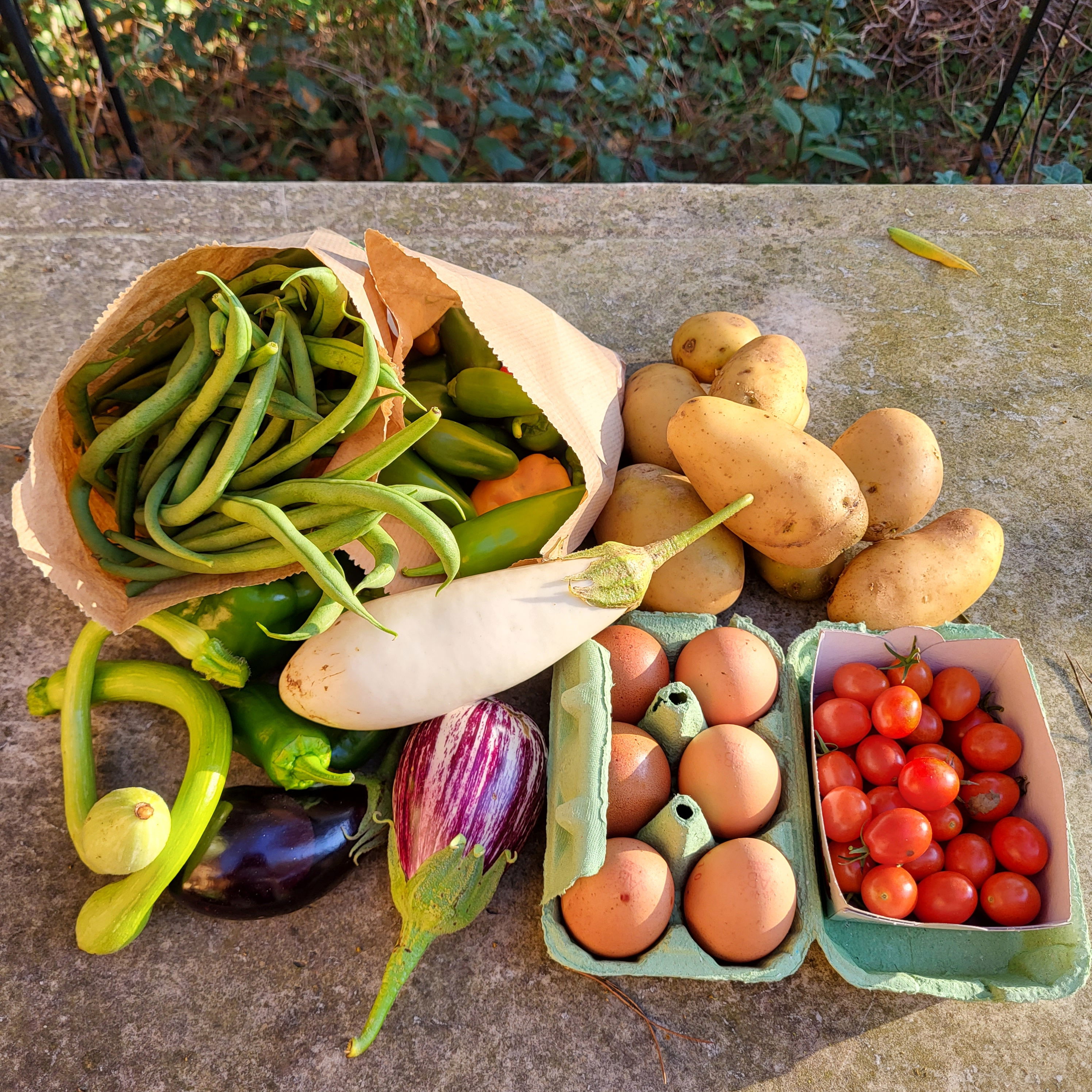 Basket of 10/15/2022