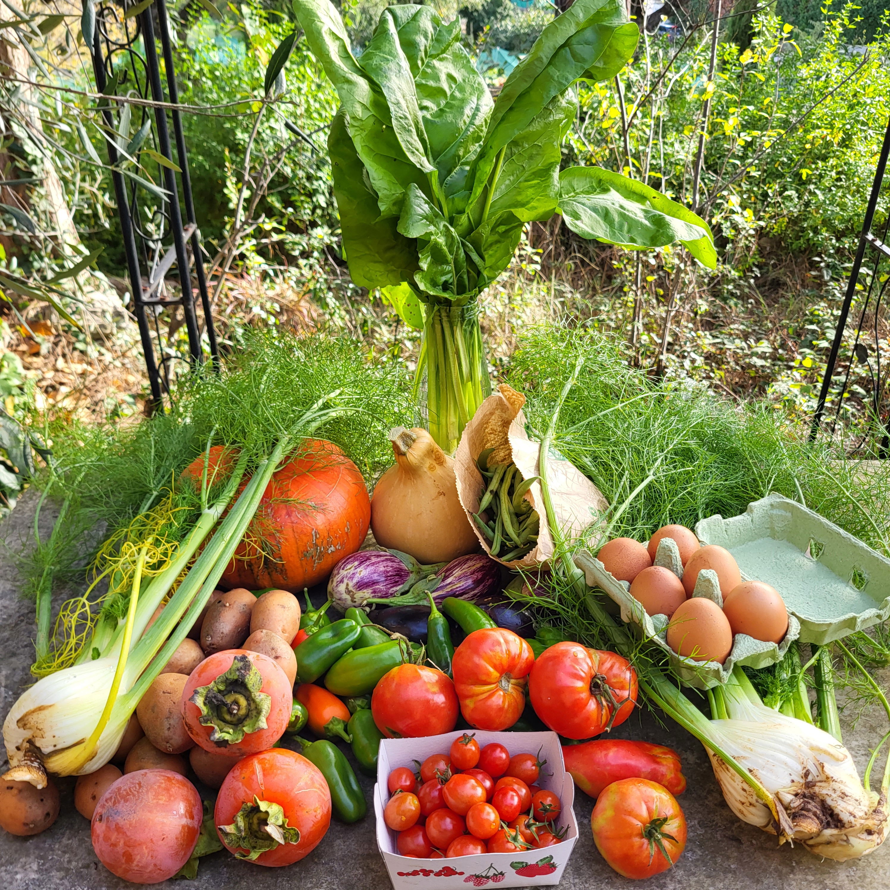 Basket of 29/10/2022