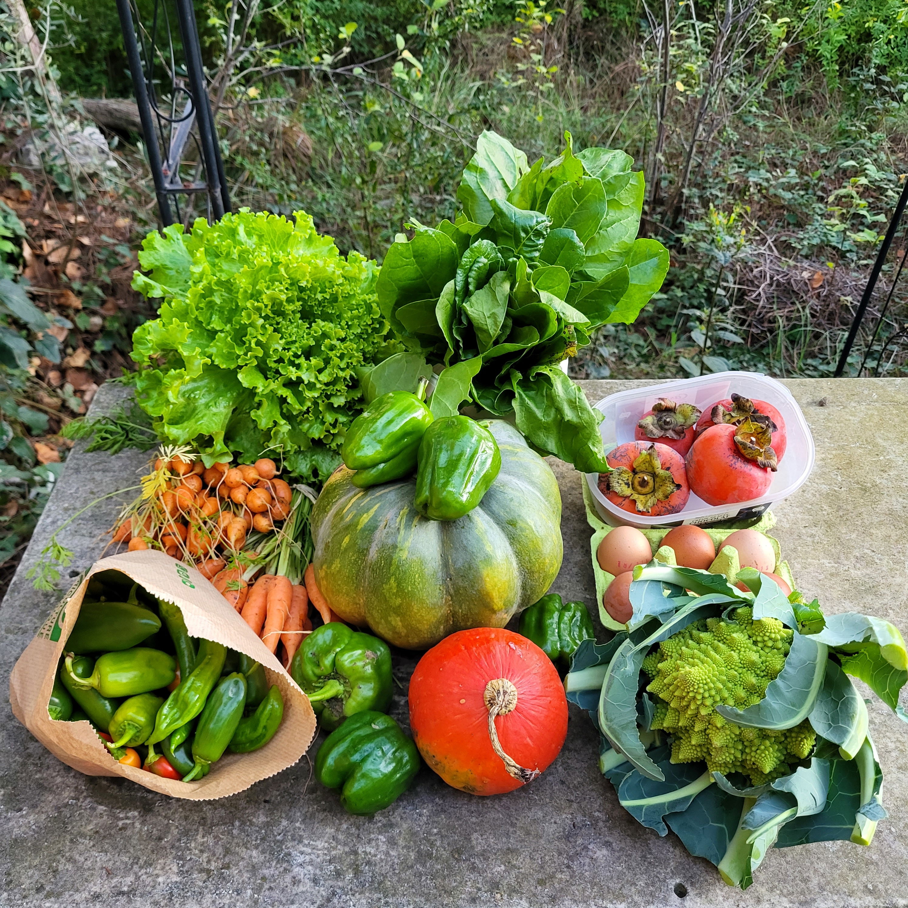 Basket of 19/11/2022