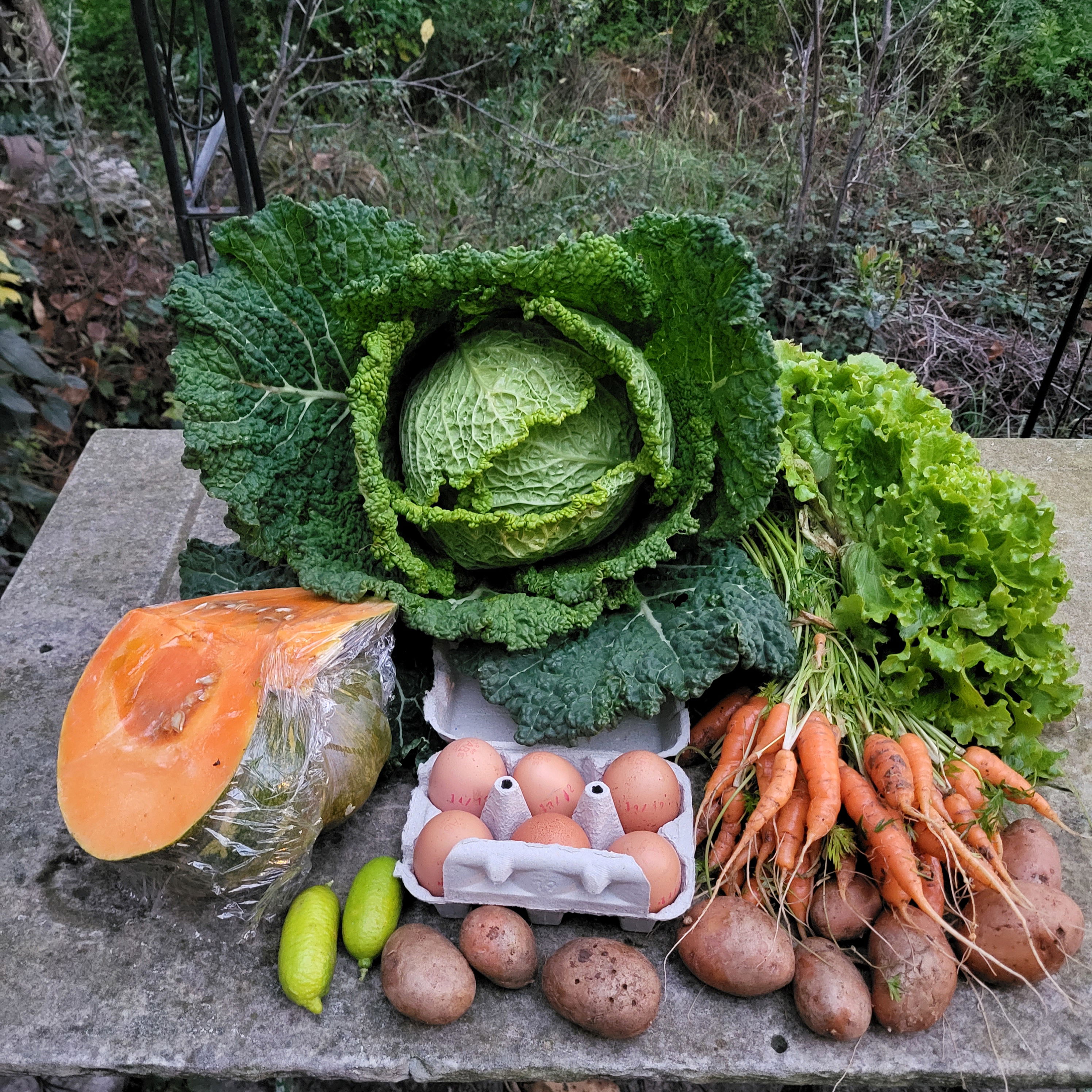 Basket of 14/12/2022