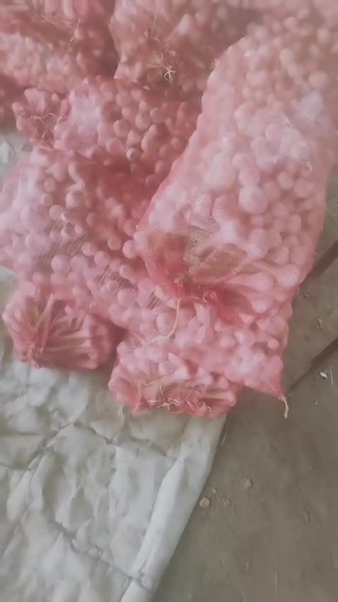 El Nasr For  Export And commercial Agencies thumbnail