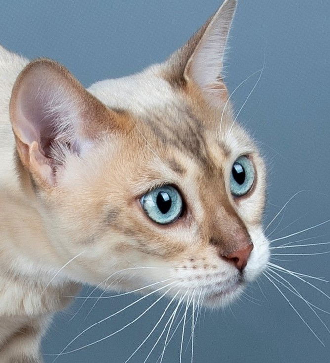 Sky by HazelGlare (National Champion)