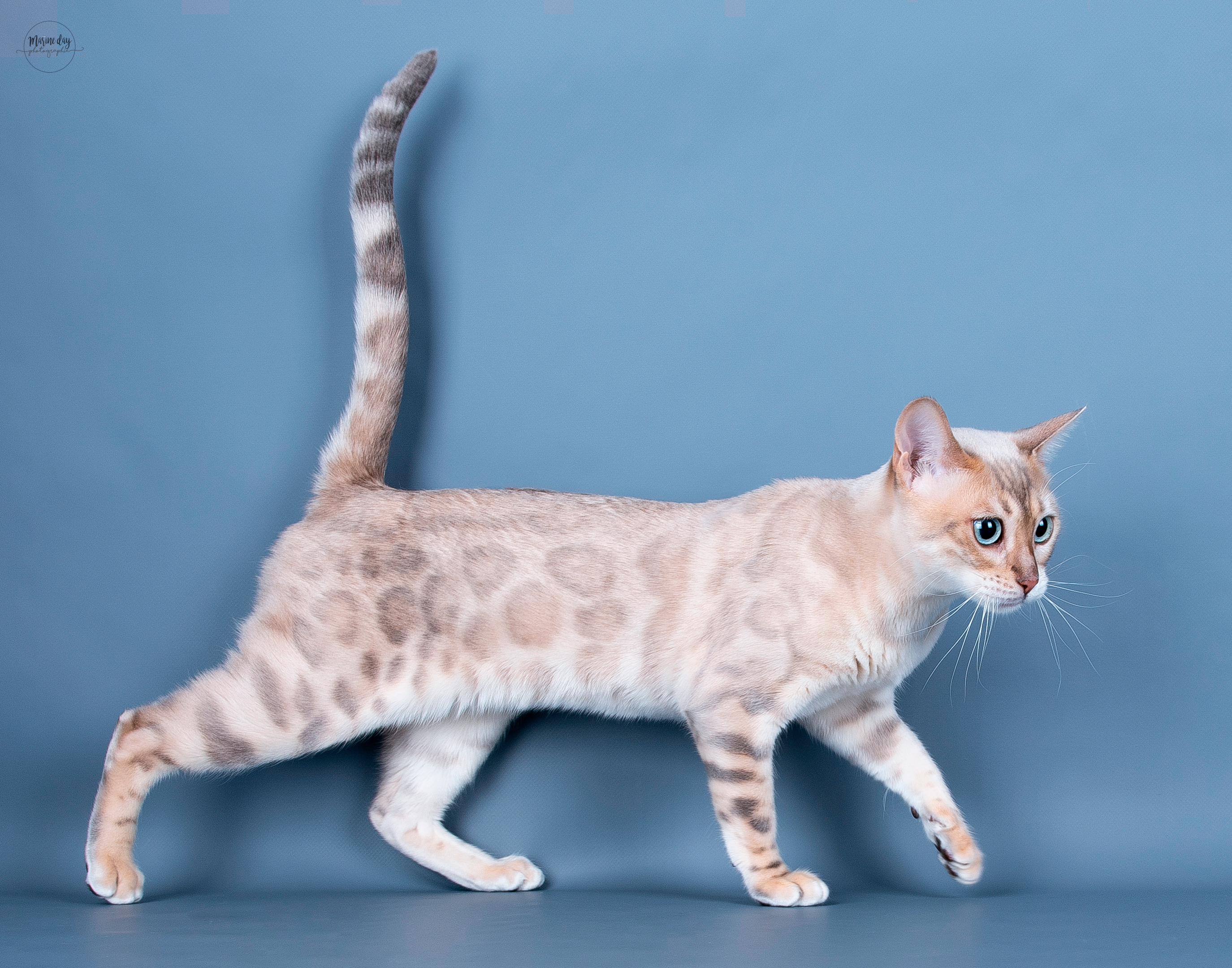 Sky by HazelGlare (National Champion)