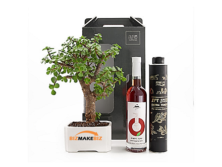 מארז שי, מארזי שי, עציצים ממותגים, מוצרי פרסום ומתנות, מתנות לחגים,