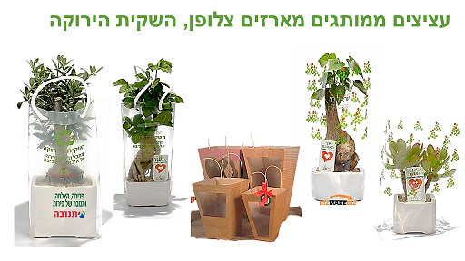 מתנות לפסח, מארזי שי, עציצים ממותגים, מתנות לעובדים והלקוחות.