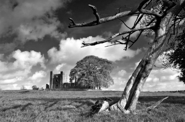 bective abbey