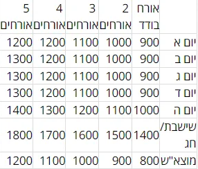 يحتوي البنتهاوس المكون من غرفتين على سقف كبير وجاكوزي ساخن