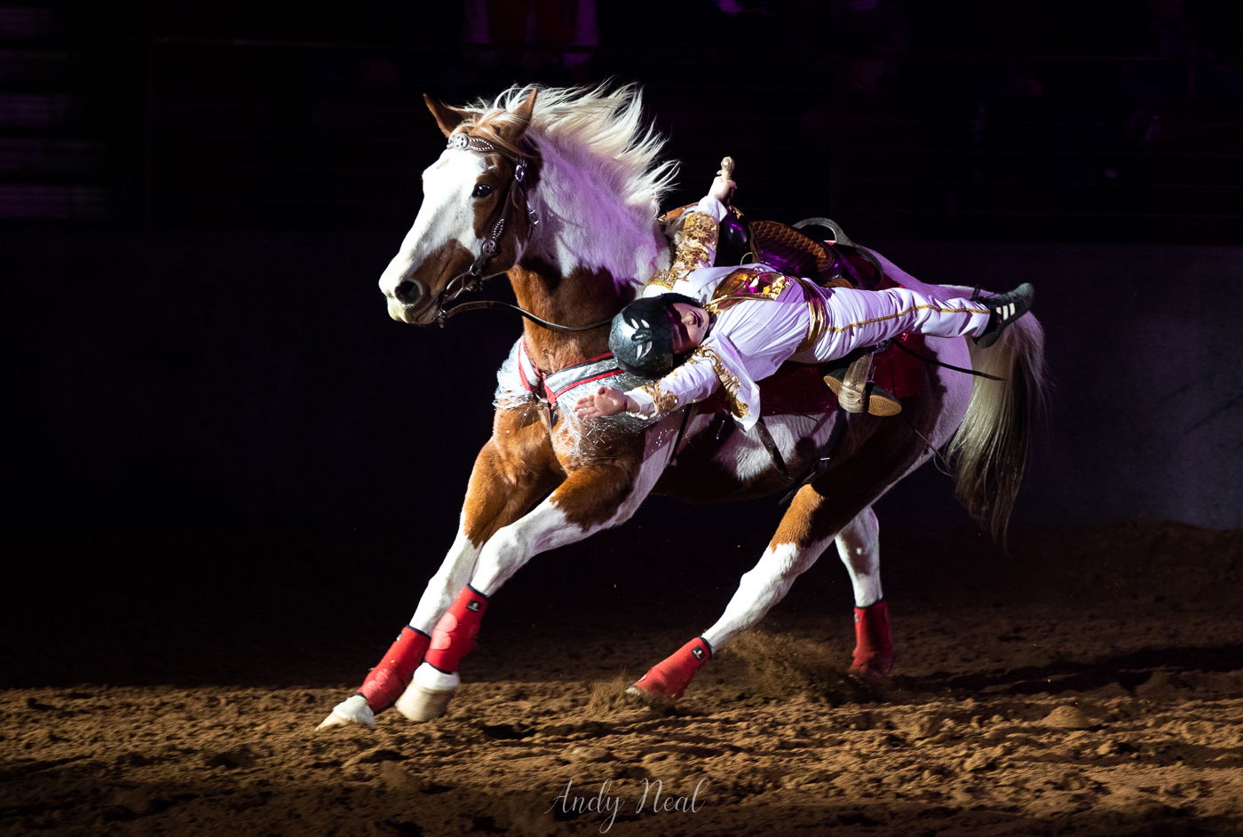 Trick Riding - Pegasus Riders