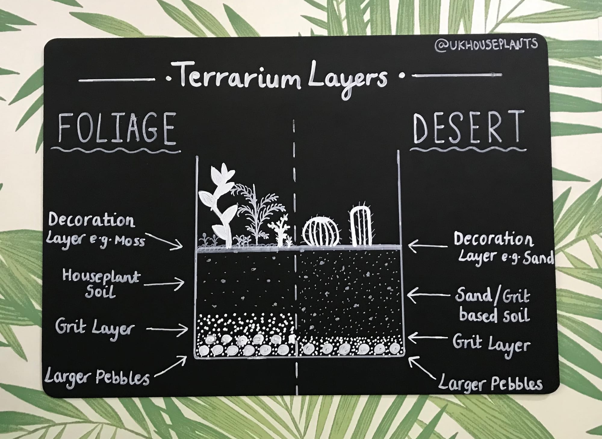 The BEST Step-by-Step Guide for Making a Terrarium!