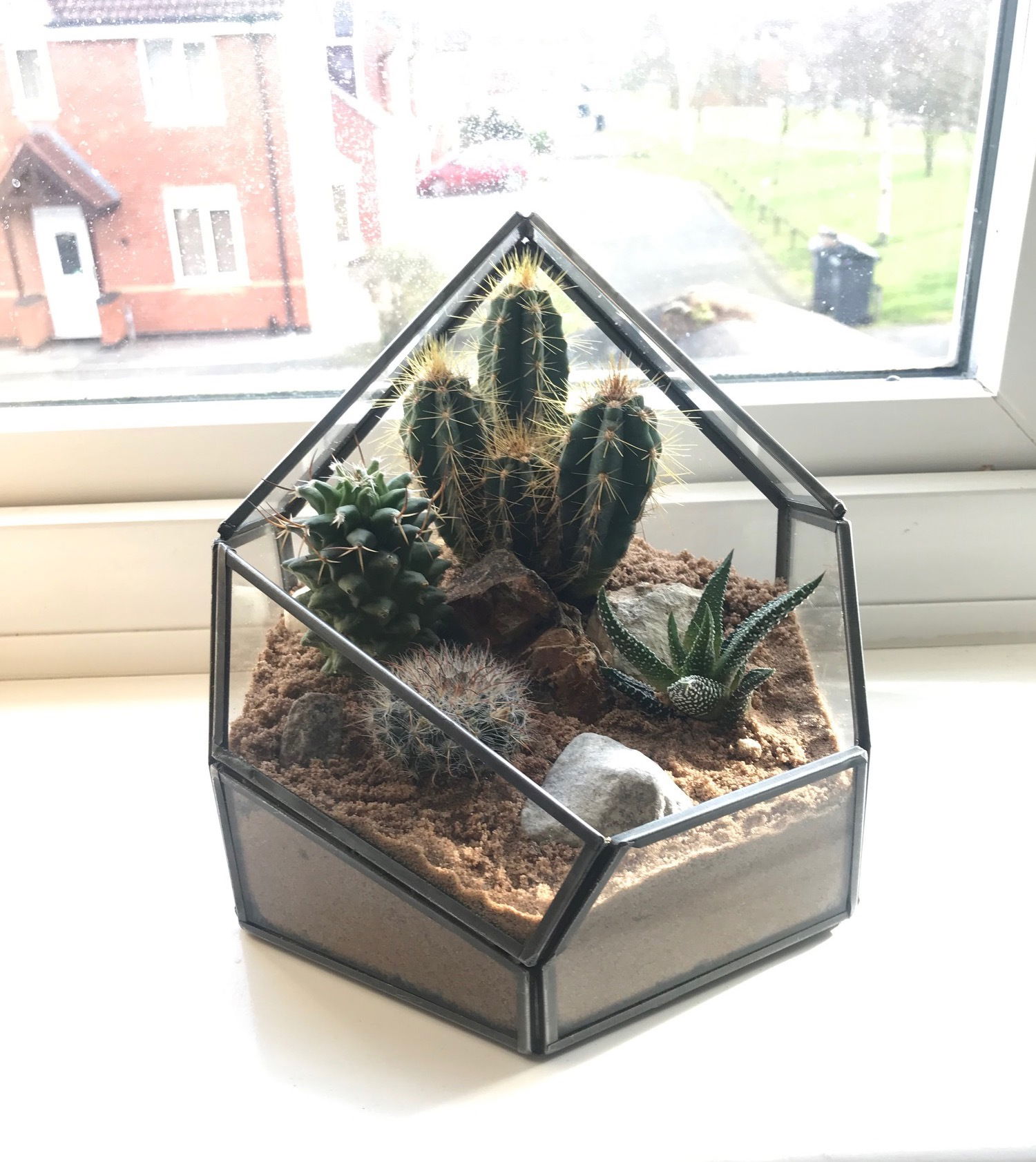 The BEST Step-by-Step Guide for Making a Terrarium!