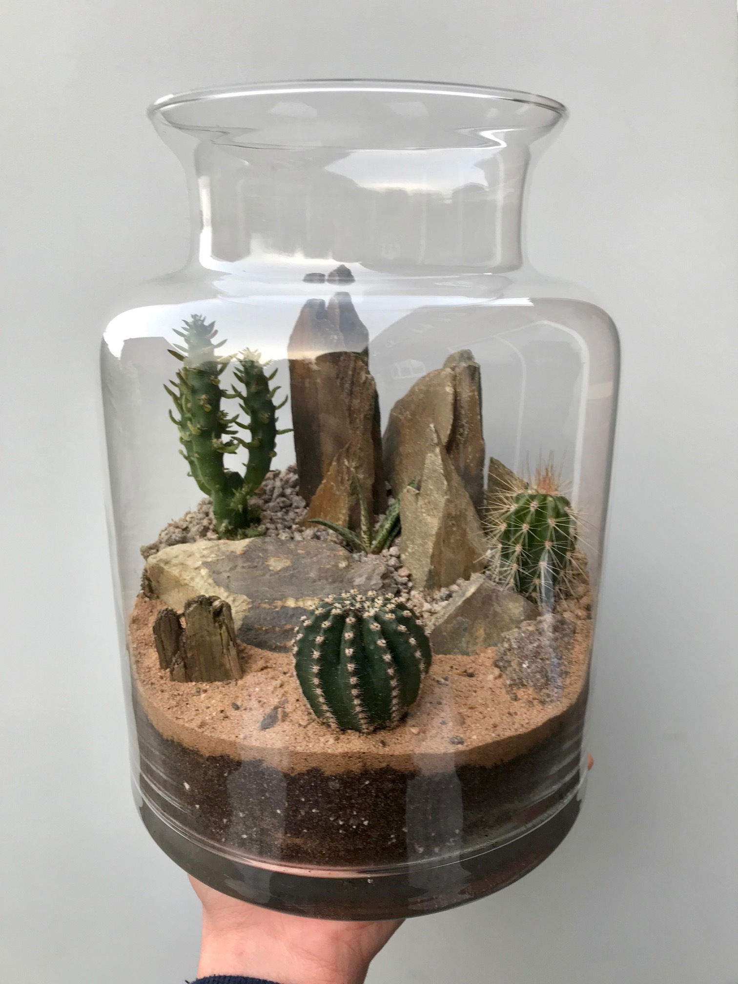 The BEST Step by Step Guide for Making a Terrarium