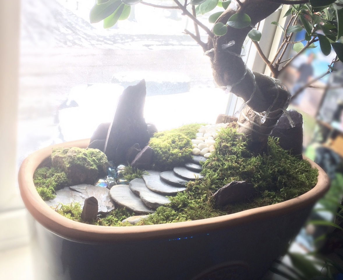 The BEST Step-by-Step Guide for Making a Terrarium!