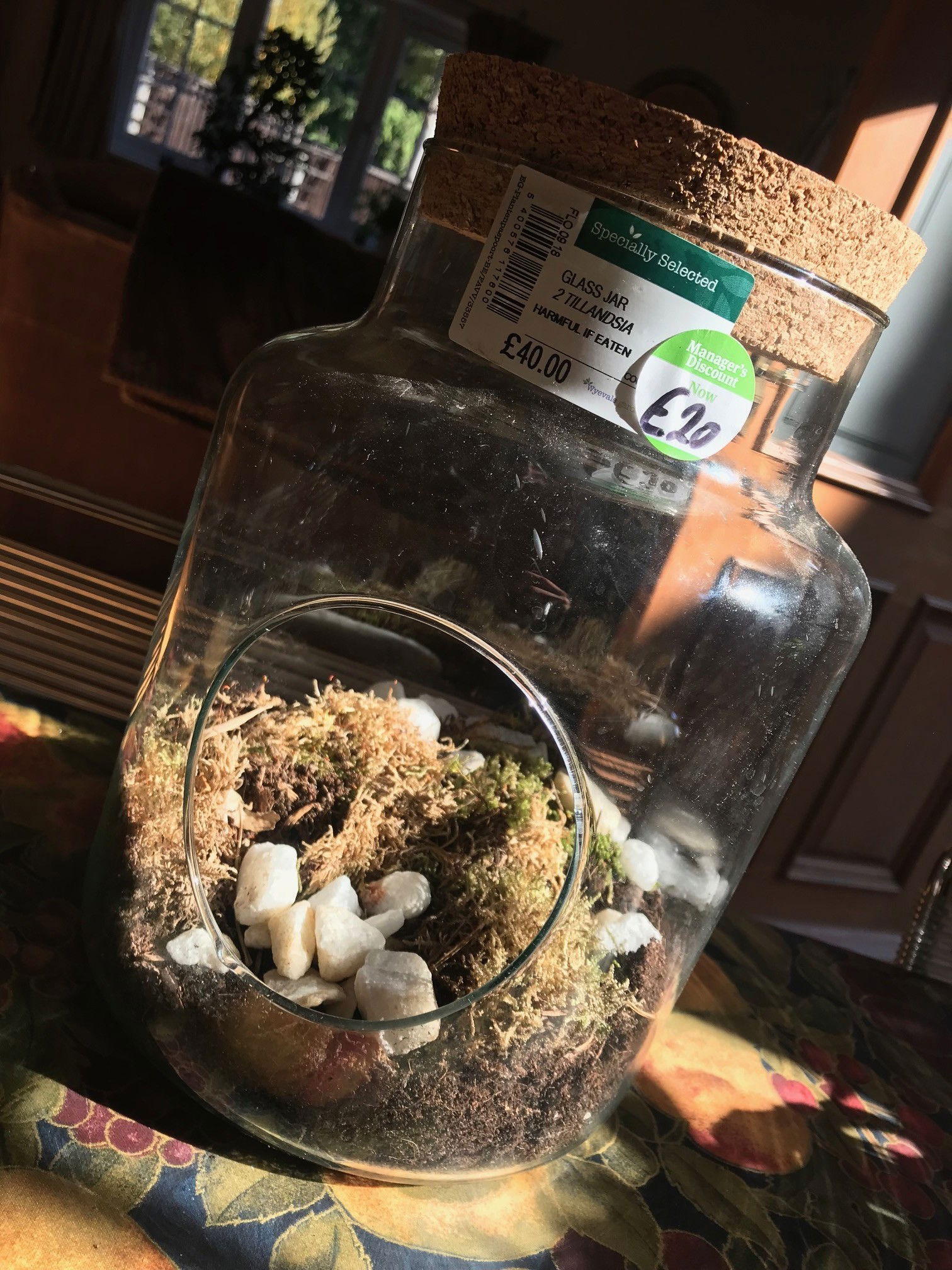 Making a Terrarium Cheaply