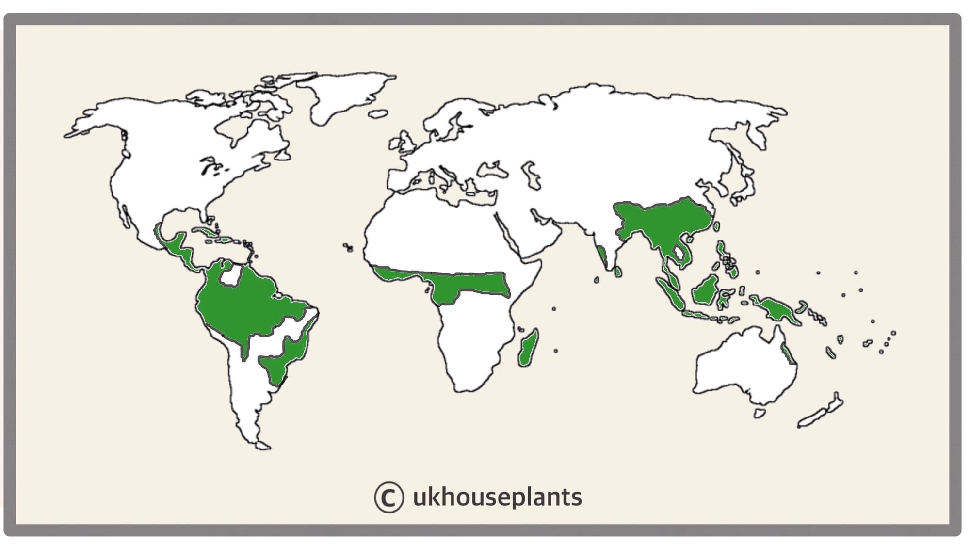 Where Does My Houseplant Come From?