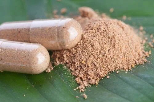 Iboga Root Bark Capsules 450mg of fine Iboga powder for microdosing.