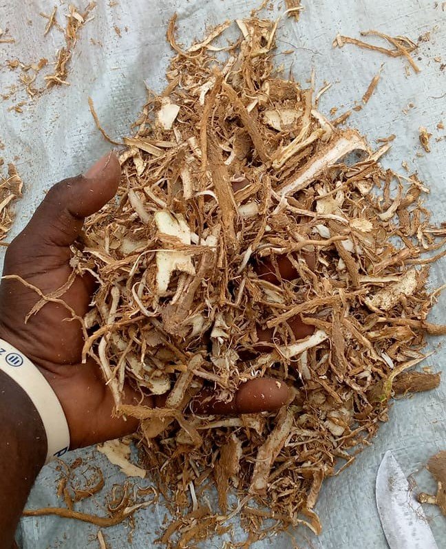 Iboga Root bark Ghana