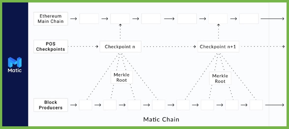 How Matic works? Find out in out Matic Network Review.