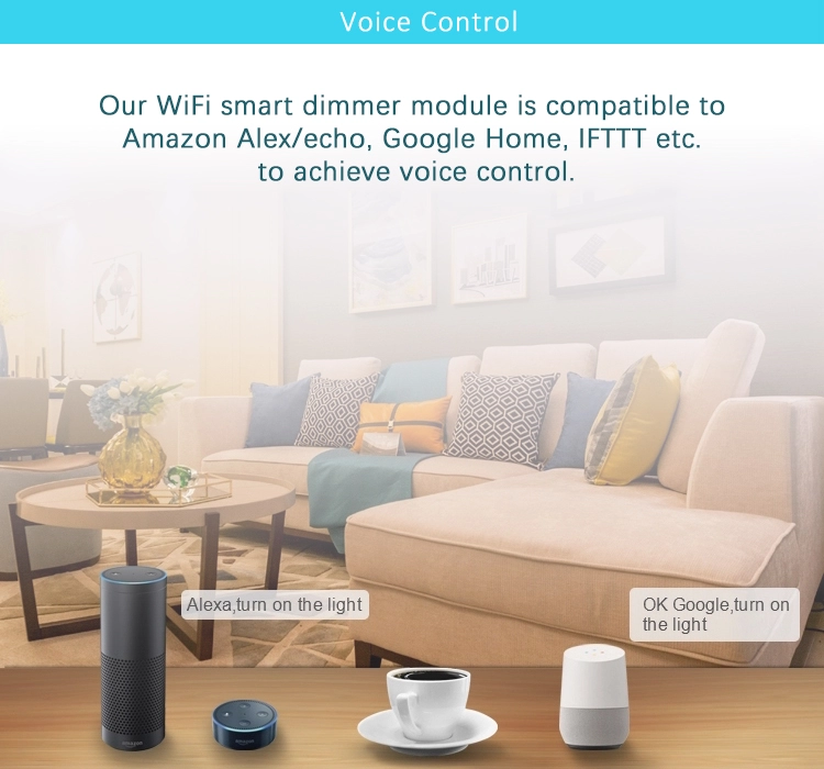 Wireless WIFI Remote Control Smart Switch Compatible with Alexa and Google Home and IFTTT Voice Control