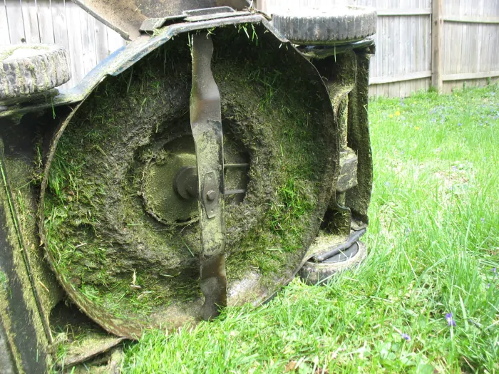 8 Maintenance Tips to Keep Your Lawn Mower Running Hills View